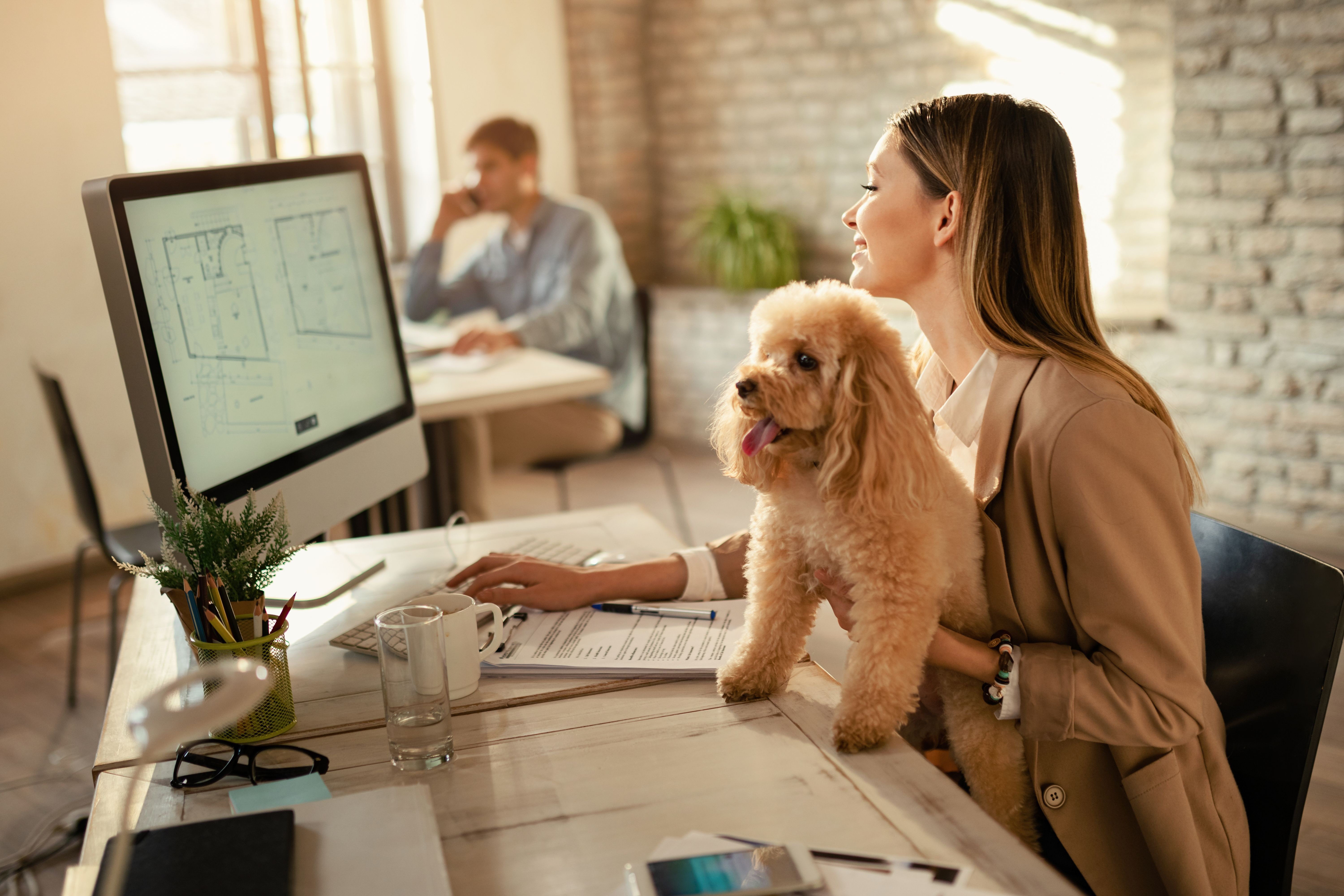 Veranstaltung: Mit Ihrem Hund ins Büro? Das müssen Sie wissen! - OA