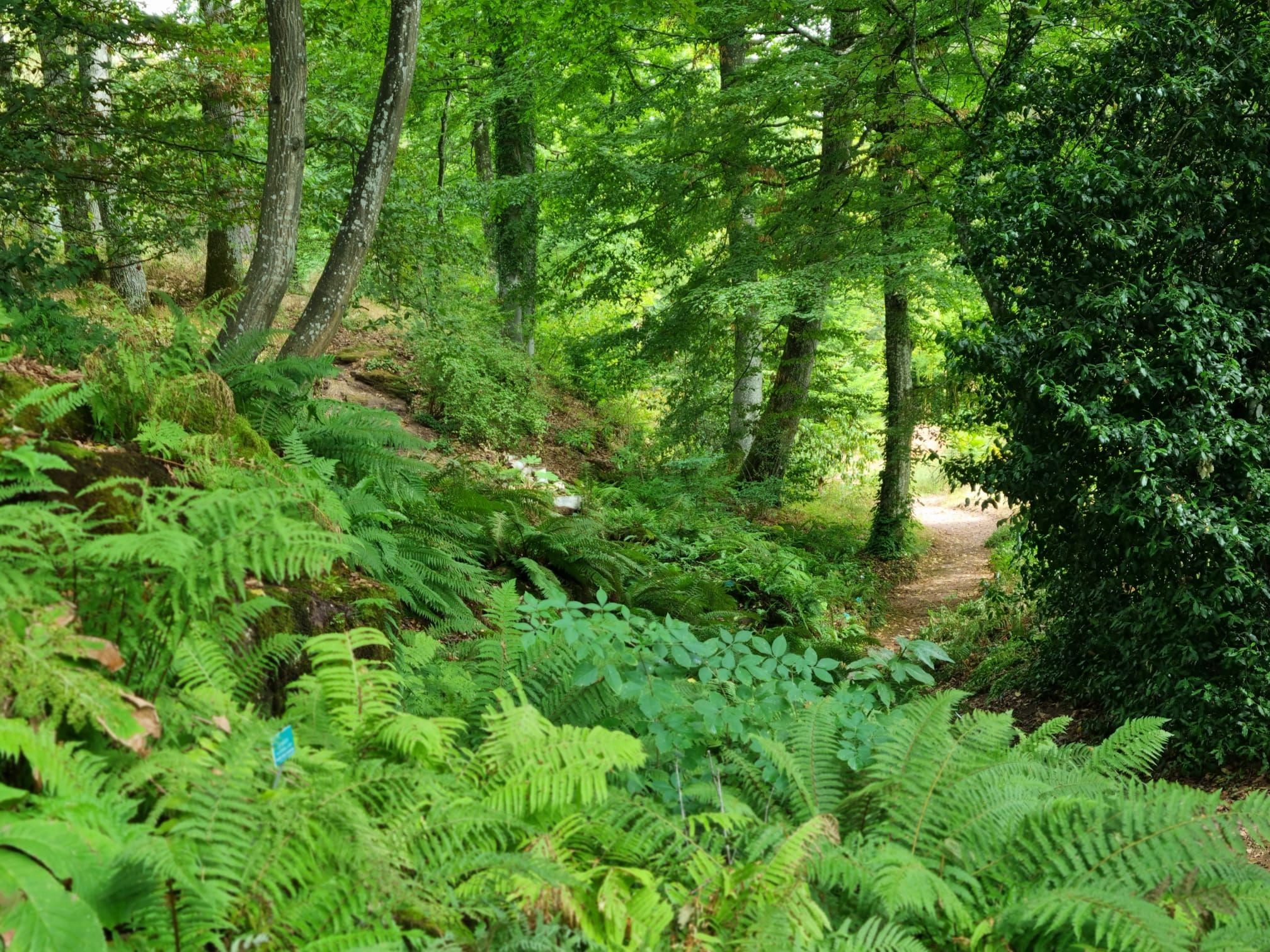 Veranstaltung: Gartenreise ins Elsass - neue Route